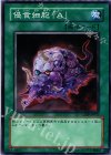  CDIP-JP037 N 侵食細胞「A」 