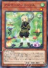  CHIM-JP017 N アロマージ-ローリエ 