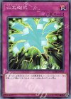  CHIM-JP078 N 心太砲式 