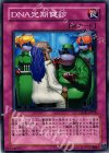  CSOC-JP078 N DNA定期健診 