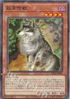  DBCB-JP026 N 孤高除獣 