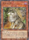  DBCB-JP026 P-N 孤高除獣 