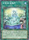  DBCB-JP038 P-N 登竜華海瀧門 