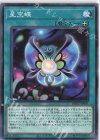  DBGC-JP031 N 星空蝶 
