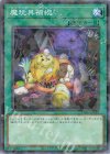  DBJH-JP015 P-N 魔玩具補綴 