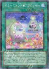  DBJH-JP024 P-N ヤミーズメント★アクロッキー 