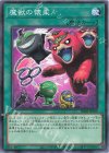  DBJH-JP029 N 魔獣の懐柔 