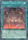  DBVS-JP008 P-N 冥骸府-メメントラン 