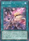  DBVS-JP022 N 騎士の絆 