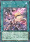  DBVS-JP022 P-N 騎士の絆 