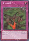  DBVS-JP030 N 重力崩壊 