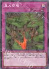 DBVS-JP030 P-N 重力崩壊 