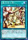 DE03-JP061 N 魔法族の里