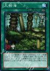 DE03-JP103 N 大樹海