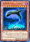 DE04-JP009 R 地縛神 Chacu Challhua