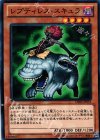DE04-JP053 N レプティレス・スキュラ