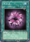 DL2-023 N 紫水晶
