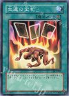 DL3-067 N 生還の宝札
