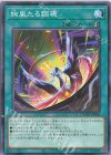 DOOD-JP062 N 絢嵐たる顕現