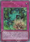  DOOD-JP079 UL 命王の螺旋 