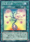 DP07-JP024 SR 宝玉の樹
