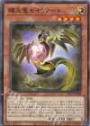 DP29-JP008 N 輝光竜セイファート 