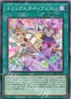  DP29-JP050 N トリックスター・フェス 