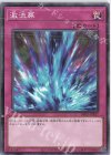 DR01-JPB27 N 激流葬