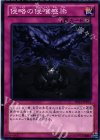  DS13-JPD31 N 侵略の侵喰感染 