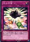  DS13-JPL37 N 光の召集 