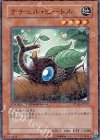 DT03-JP007 N ナチュル・ビートル