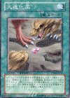 DT04-JP046 N 大進化薬