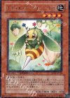 DT06-JP020 R ナチュル・ホーストニードル