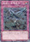 DT13-JP050 N 侵略の侵喰感染