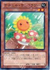 DTC2-JP041 N ナチュル・サンフラワー