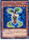 DTC2-JP105 N ヴェルズ・マンドラゴ