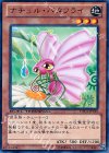 DTC3-JP019 R ナチュル・バタフライ