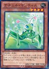 DTC3-JP049 N ナチュル・マンティス