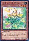 DTC3-JP050 N ナチュル・ラグウィード