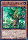 DTC3-JP051 SR ナチュル・ホワイトオーク