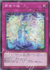  DUAD-JP077 N 再世十戒 