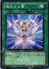 EE04-JP045 N 進化する翼