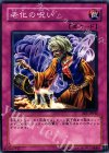  EE1-JP042 N 老化の呪い 