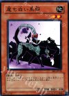 EE1-JP138 N 尾も白い黒猫
