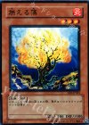 EE2-JP063 N 燃える藻