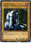 EE2-JP171 N コザッキー