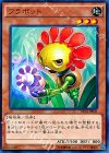  EP14-JP041 N フラボット 