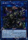 EXFO-JP048 SE 鎖龍蛇-スカルデット