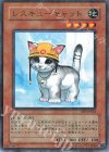 FET-JP033 P-N レスキューキャット