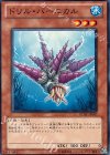  GENF-JP007 N ドリル・バーニカル 